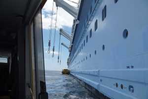 Bay of Islands 31oct2019 (276)